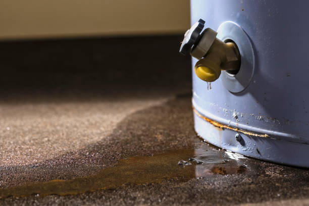 Best Sewage cleanup and water damage restoration  in Westminster, SC