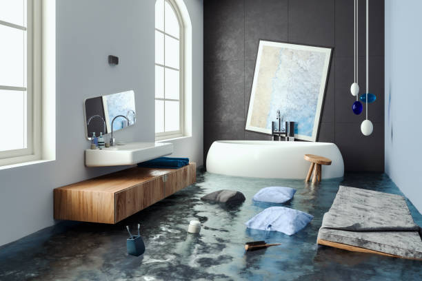 Best Professional water damage repair  in Westminster, SC