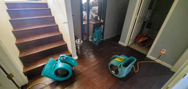 Best Flooded house restoration  in Westminster, SC