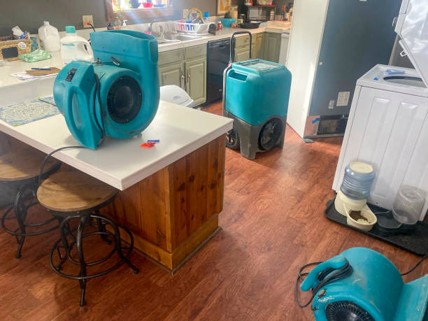 Best Water damage restoration services  in Westminster, SC