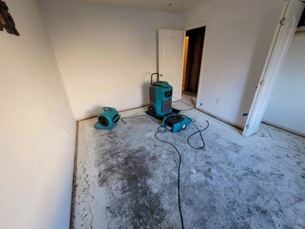 Best Water damage restoration near me  in Westminster, SC