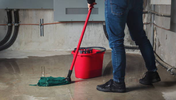 Best 24/7 water damage repair  in Westminster, SC