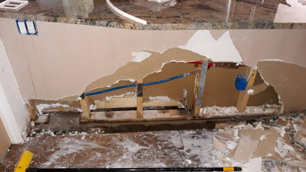 Best Carpet water damage restoration  in Westminster, SC