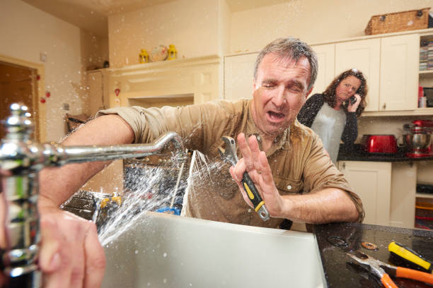 Best Water damage contractors near me  in Westminster, SC